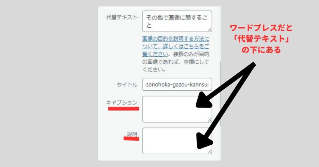 その他で画像に関すること